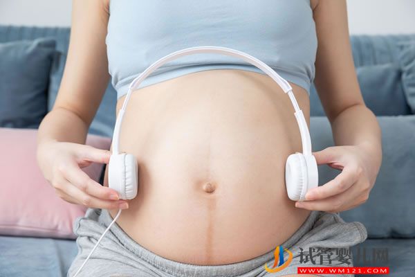 為什么囊胚容易變雙胞胎(圖1)