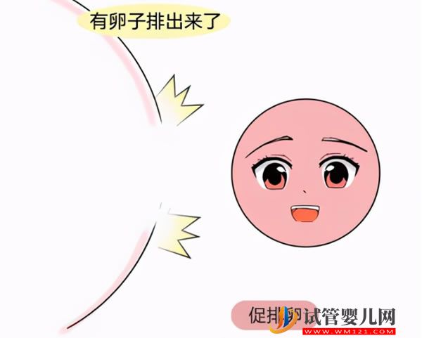 為什么要培養(yǎng)囊胚？培養(yǎng)囊胚移植具體有哪些優(yōu)勢？(圖3)