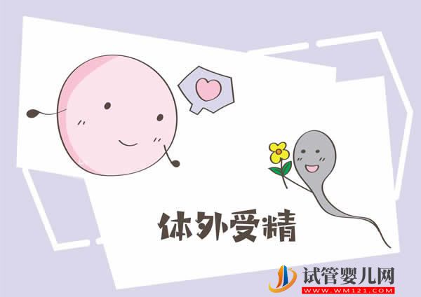 泰國做試管要做哪些準備，什么東西是一定要準備的(圖2)
