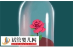 夫妻感情越來越單，女人怎么挽回婚姻？