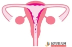 女人出軌的九個常見原因 
